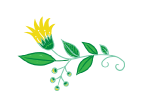 DaySpring-Flower-yellow-side